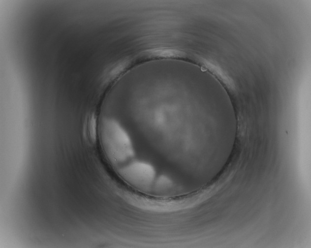 X0000115400014200911101521