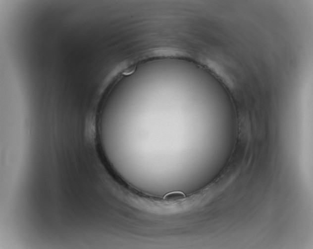 X0000115400015200911101521