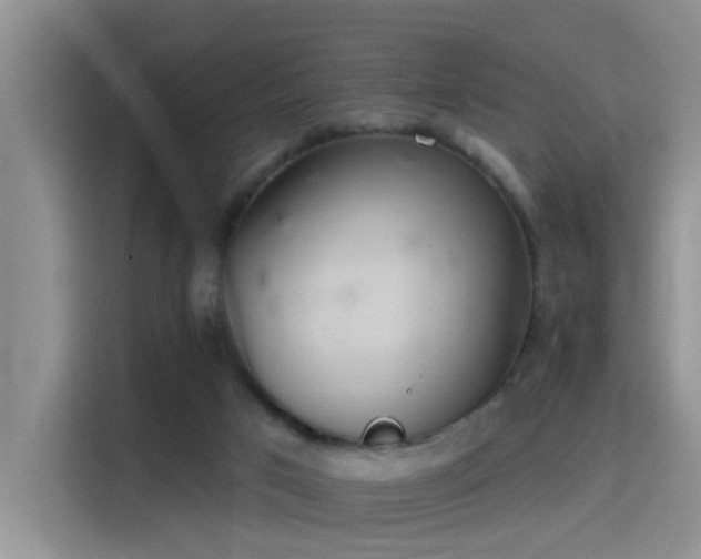 X0000115400017200911101521