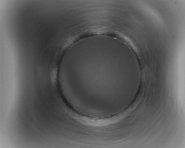 X0000115400018200911101521