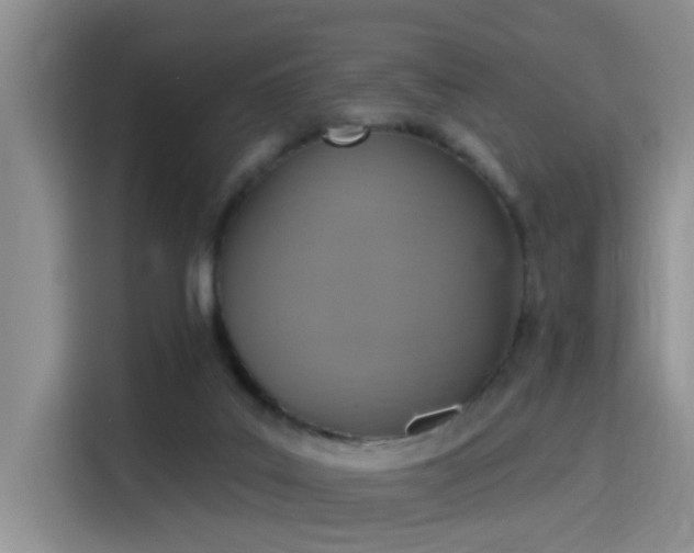 X0000115400019200911101521