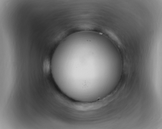 X0000115400021200911101521