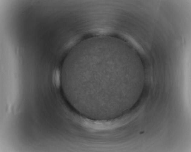 X0000115400022200911101521