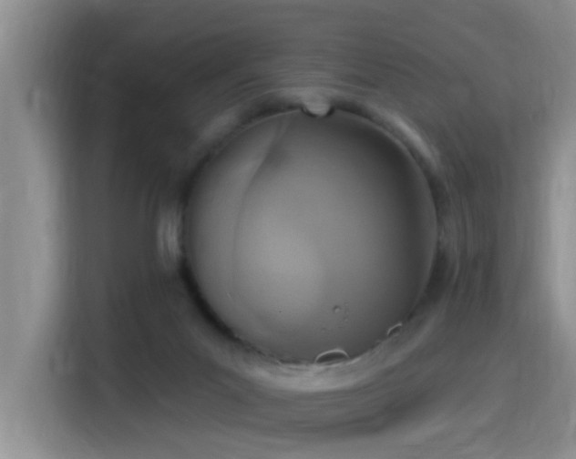 X0000115400023200911101521