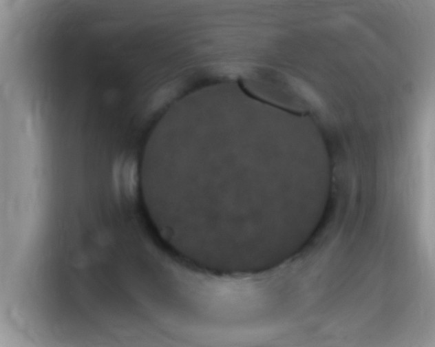 X0000115400024200911101521
