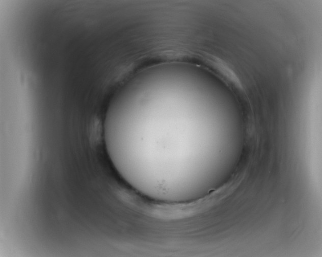 X0000115400025200911101521
