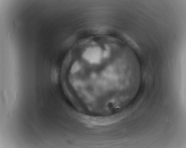 X0000115400026200911101521
