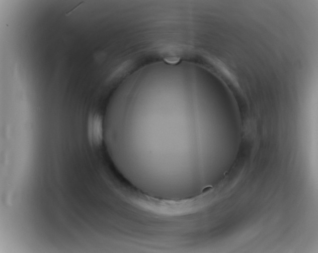 X0000115400027200911101521