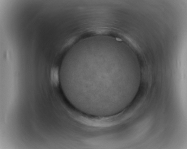 X0000115400028200911101521
