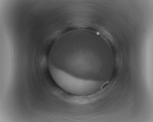X0000115400029200911101521