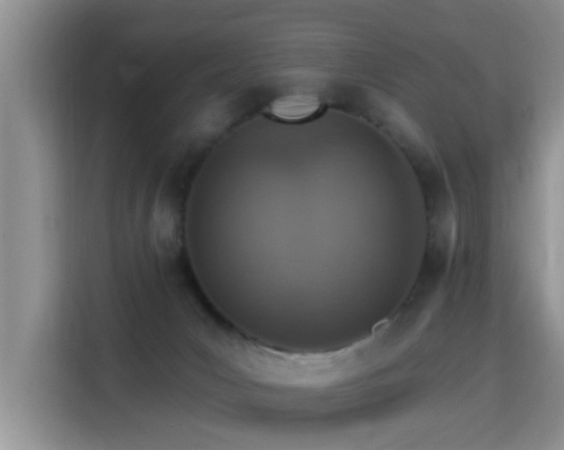 X0000115400031200911101521