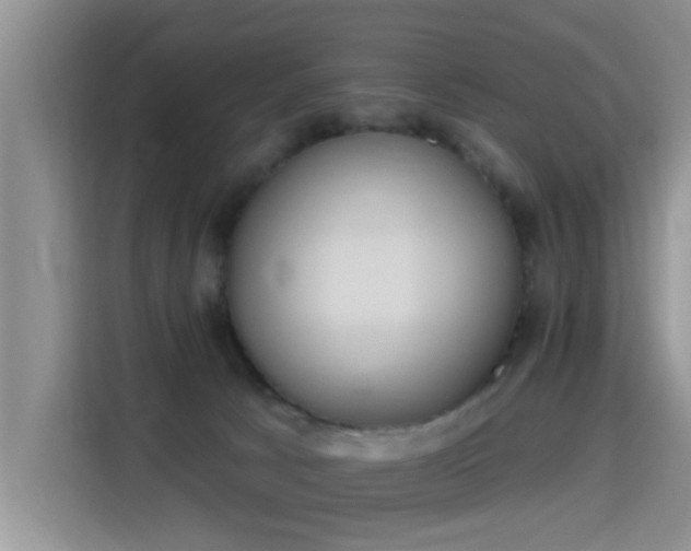 X0000115400033200911101521