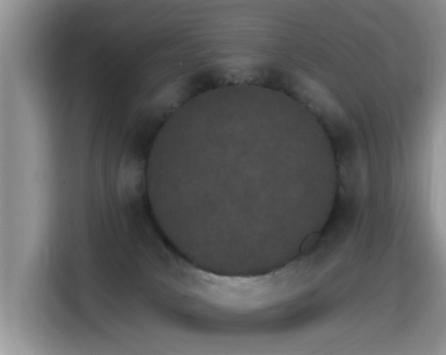 X0000115400034200911101521