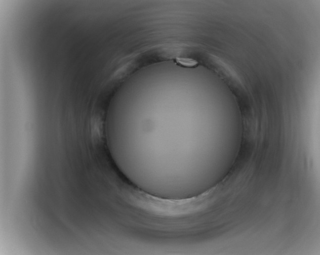 X0000115400035200911101521