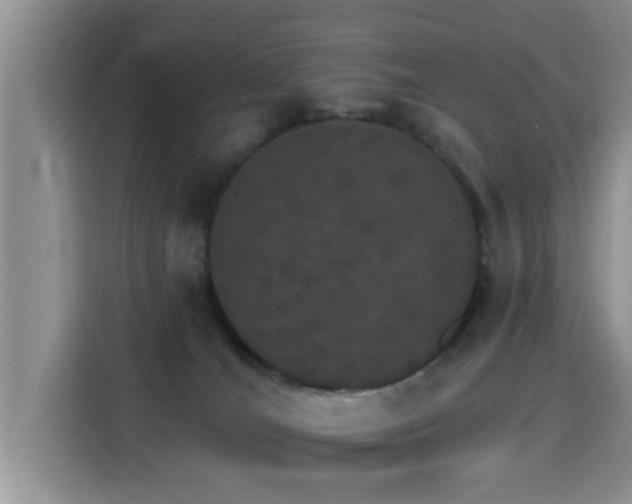X0000115400036200911101521