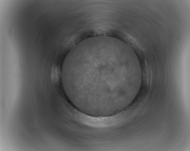 X0000115400038200911101521