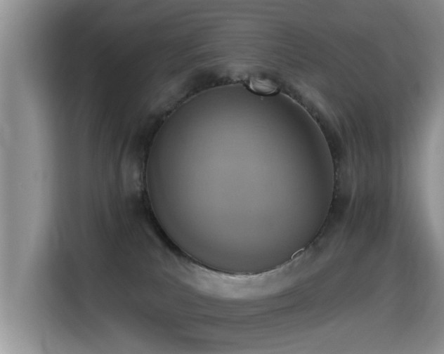 X0000115400039200911101521