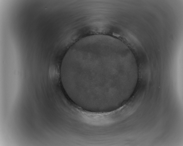 X0000115400040200911101521
