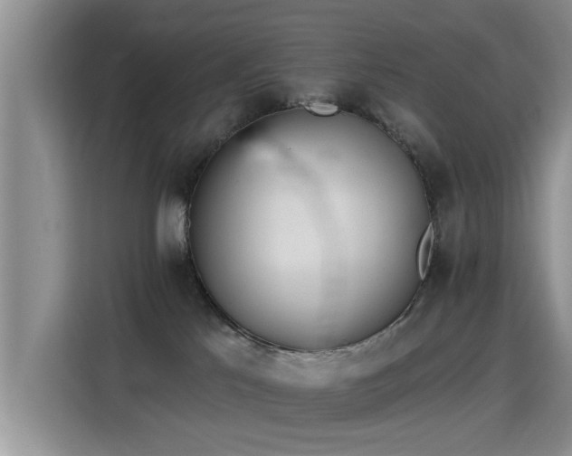X0000115400041200911101521