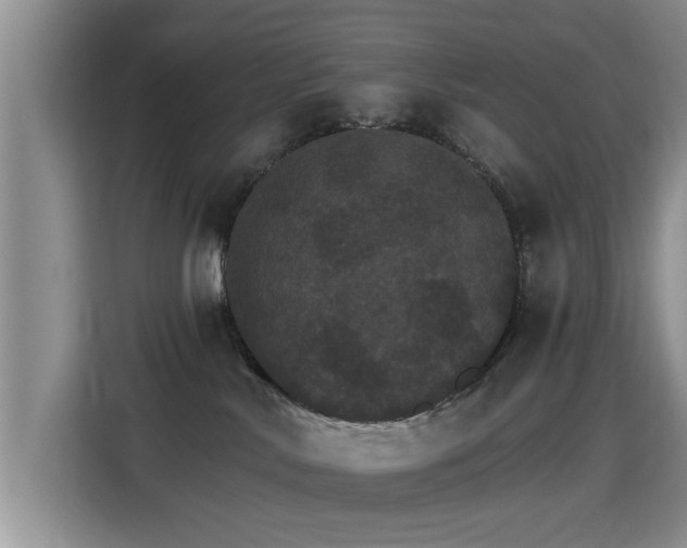 X0000115400042200911101521
