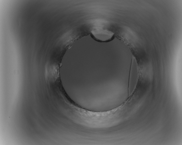 X0000115400043200911101521