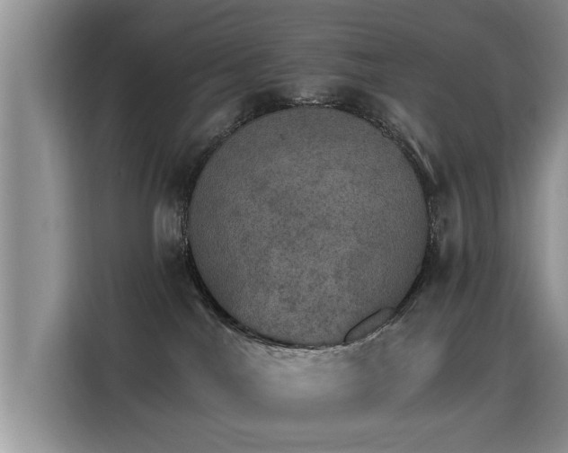 X0000115400044200911101521