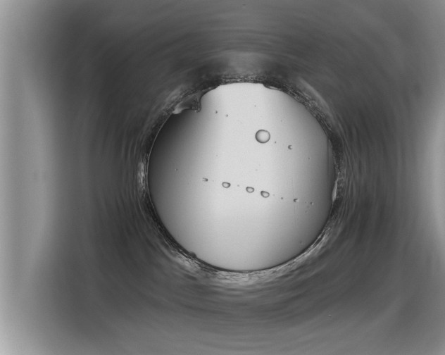 X0000115400045200911101521