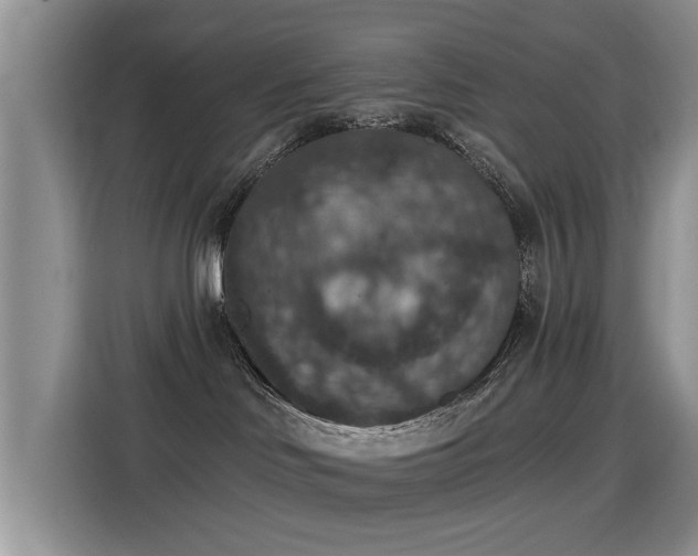 X0000115400046200911101521