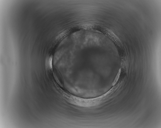 X0000115400047200911101521