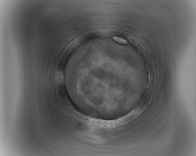 X0000115400048200911101521