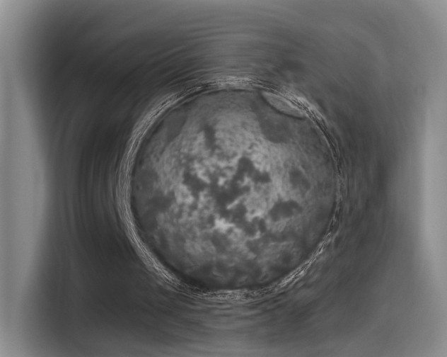 X0000115400049200911101520