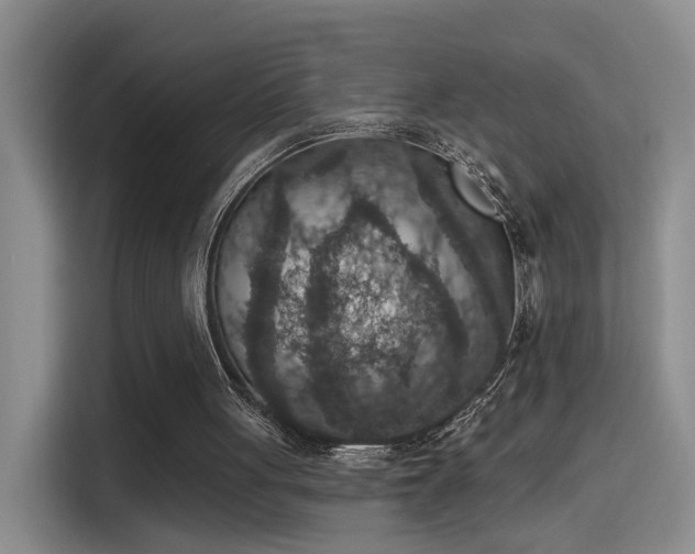 X0000115400051200911101520