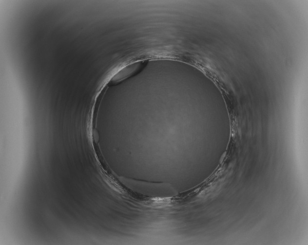 X0000115400052200911101520