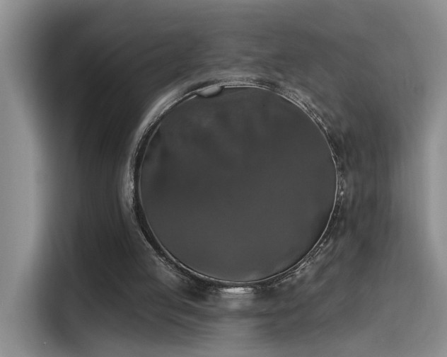 X0000115400053200911101520