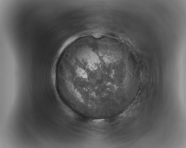 X0000115400054200911101520