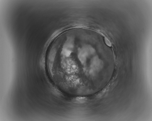 X0000115400055200911101520