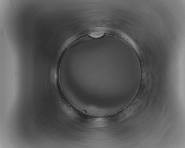 X0000115400059200911101520