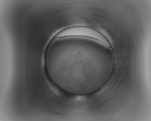 X0000115400060200911101520