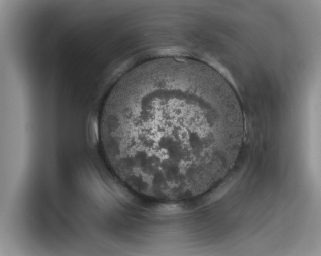 X0000115400061200911101520