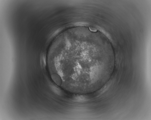 X0000115400062200911101520