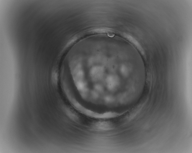 X0000115400063200911101520