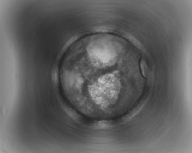 X0000115400064200911101520