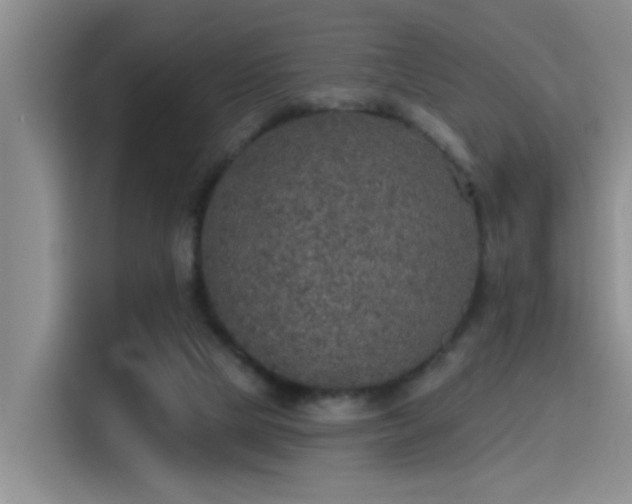 X0000115400065200911101520