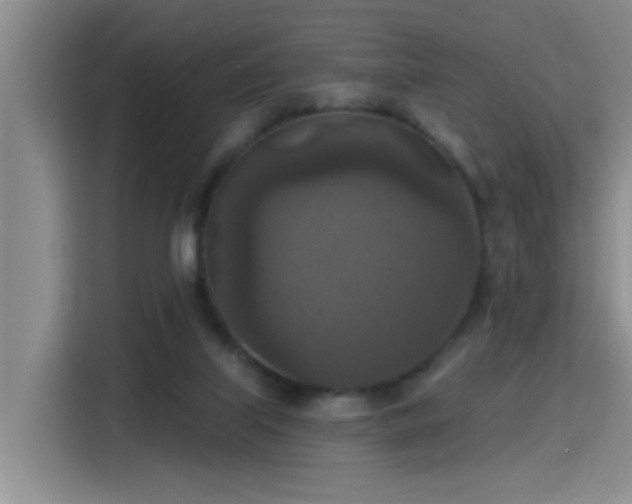 X0000115400067200911101520