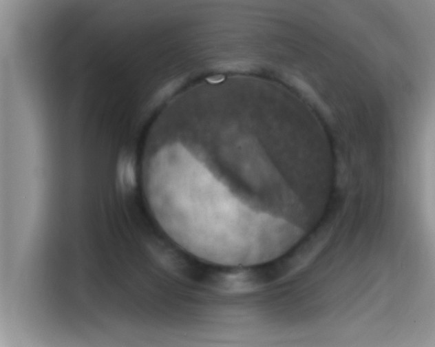 X0000115400068200911101520