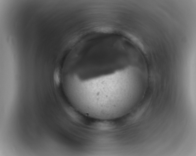X0000115400069200911101520