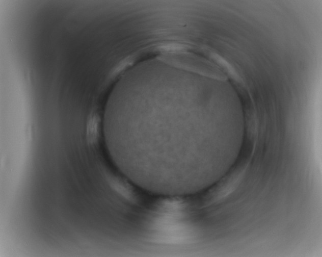 X0000115400071200911101520