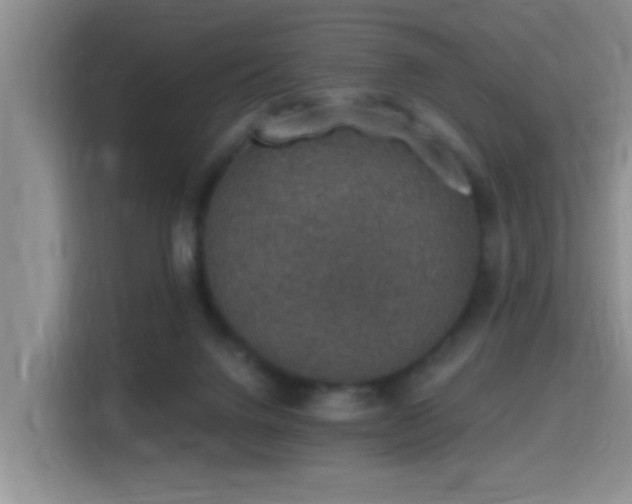 X0000115400072200911101520