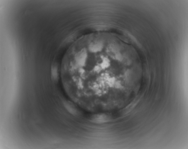 X0000115400074200911101521