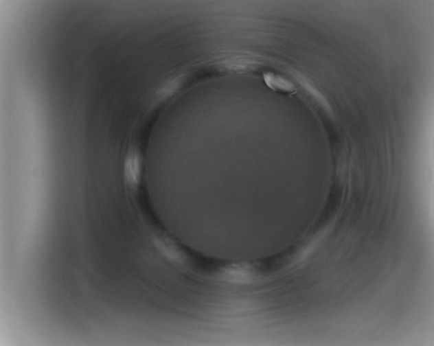 X0000115400076200911101521